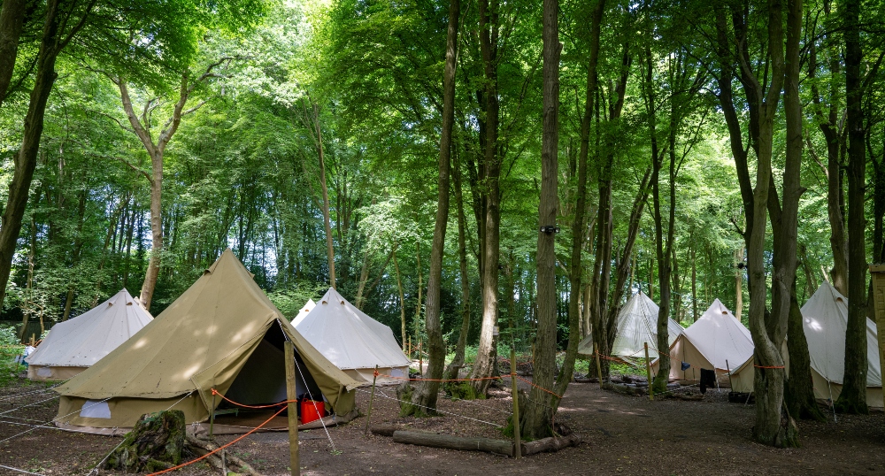 canvas bell tents in woods on residential