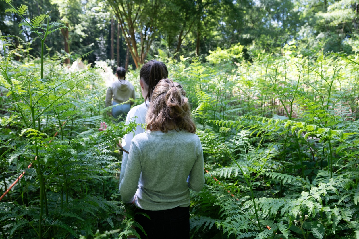 Featured image for “A 2-night residential was a winner for Bute House!”